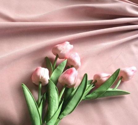 Persian pink velvet