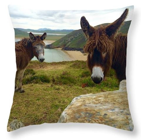 Haven't seen you in Donkeys pillow throw