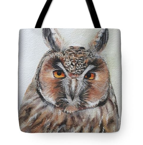 brown owl Art Bag