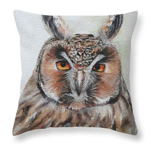 Brown Owl Cushion